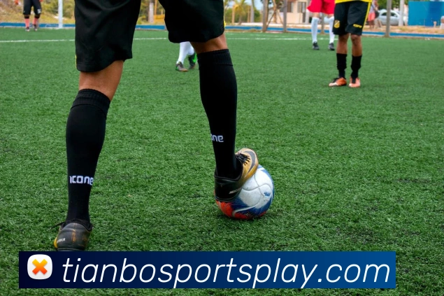 App Interface Preview