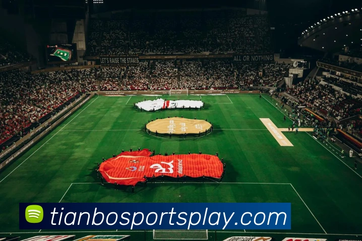 天博体育APP 封面图